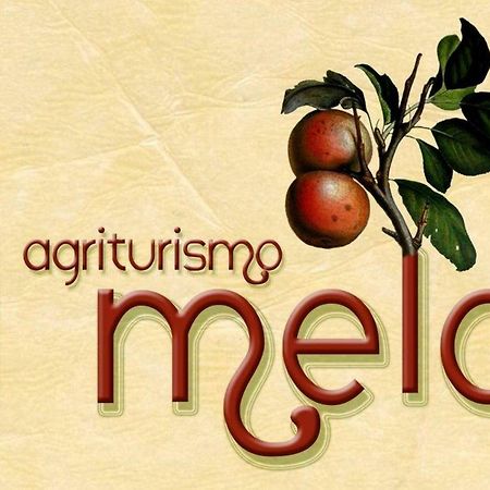 Agriturismo Il Melo Valfabbrica Exteriér fotografie
