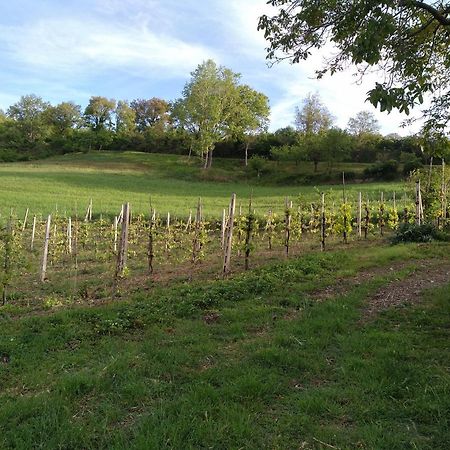 Agriturismo Il Melo Valfabbrica Exteriér fotografie