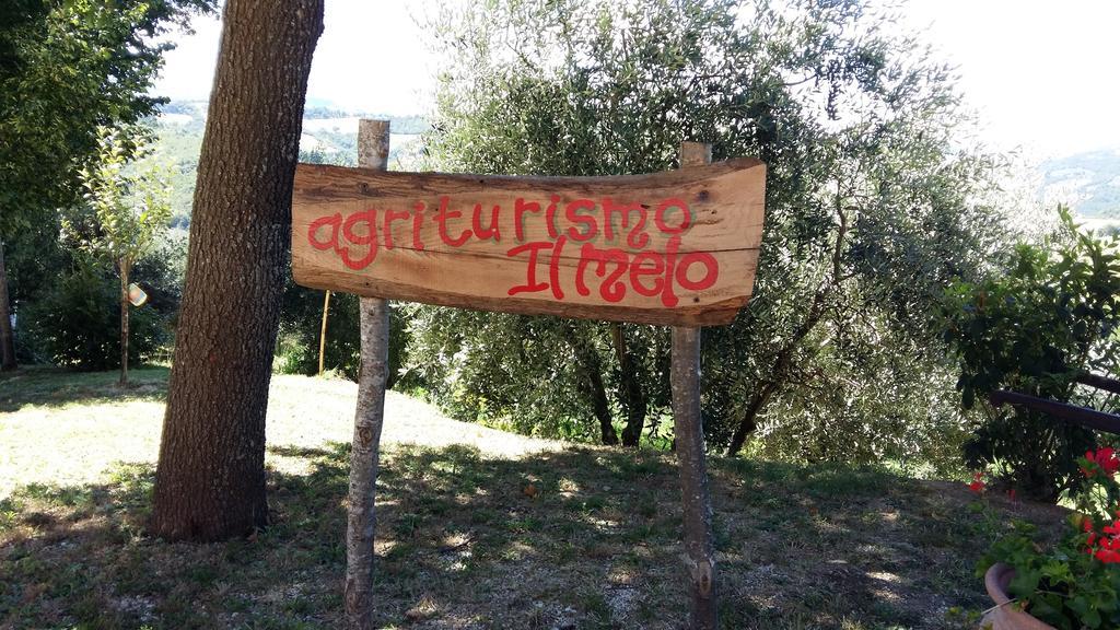 Agriturismo Il Melo Valfabbrica Exteriér fotografie