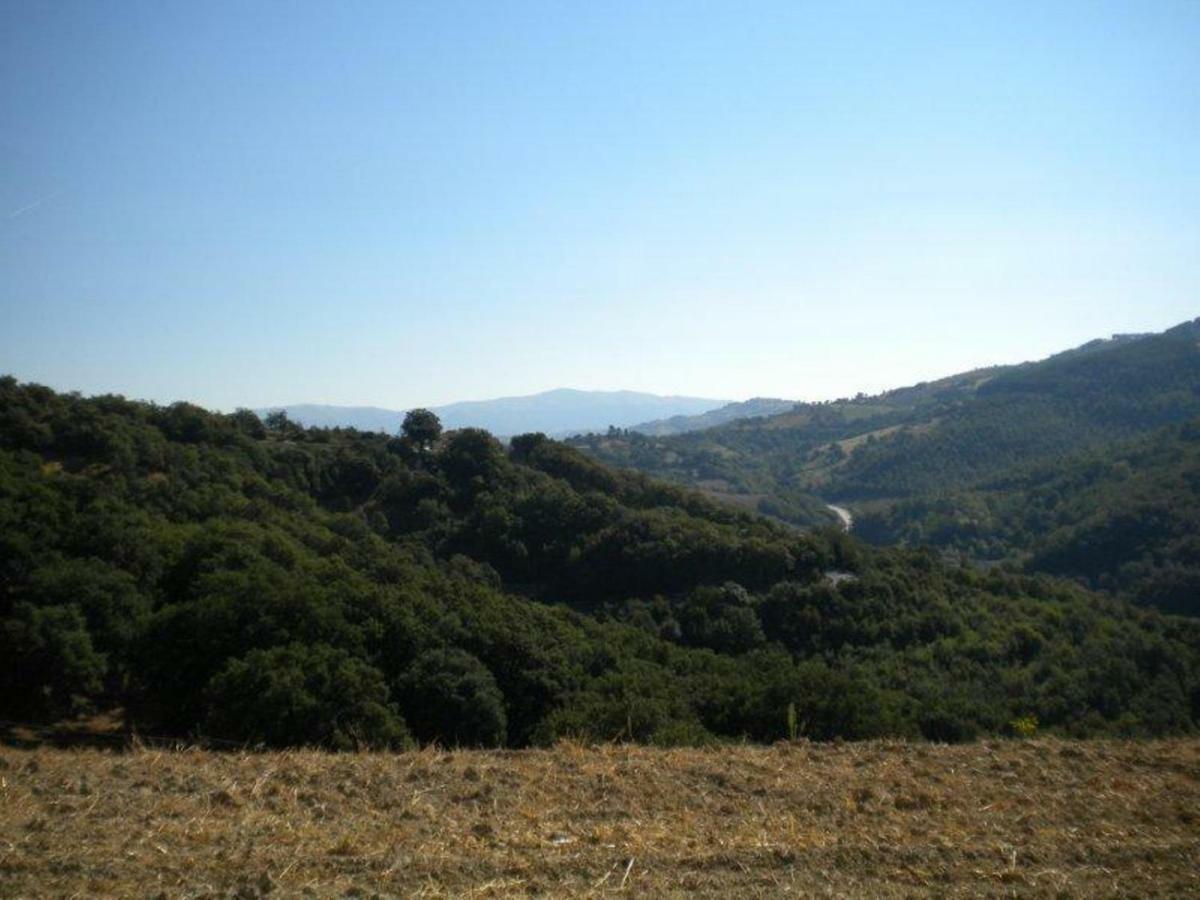 Agriturismo Il Melo Valfabbrica Exteriér fotografie
