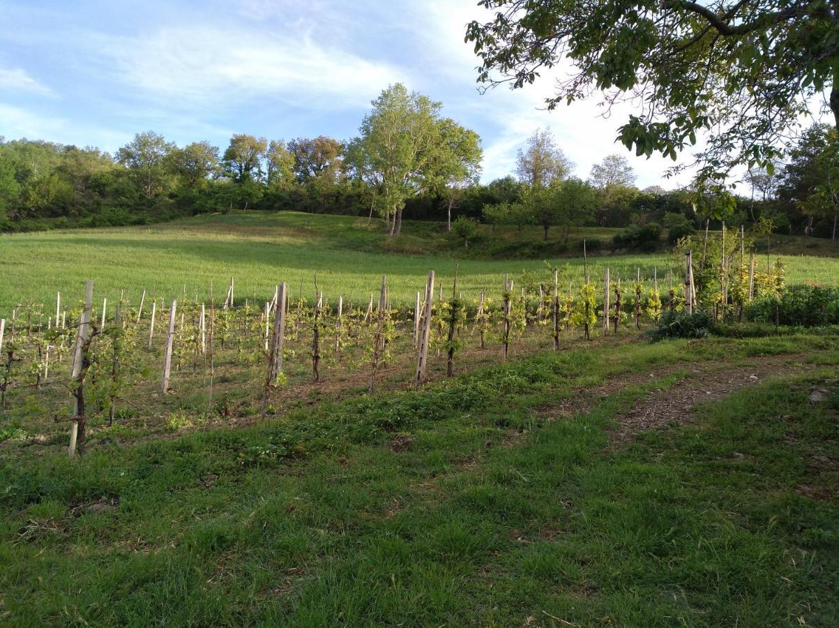 Agriturismo Il Melo Valfabbrica Exteriér fotografie